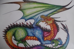 SAMSUNG CAMERA PICTURES